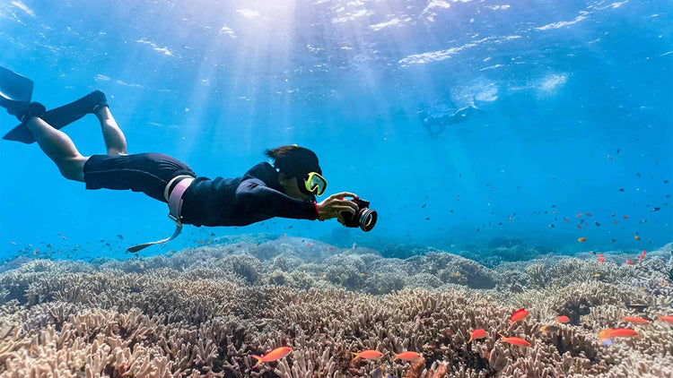 Snorkeling