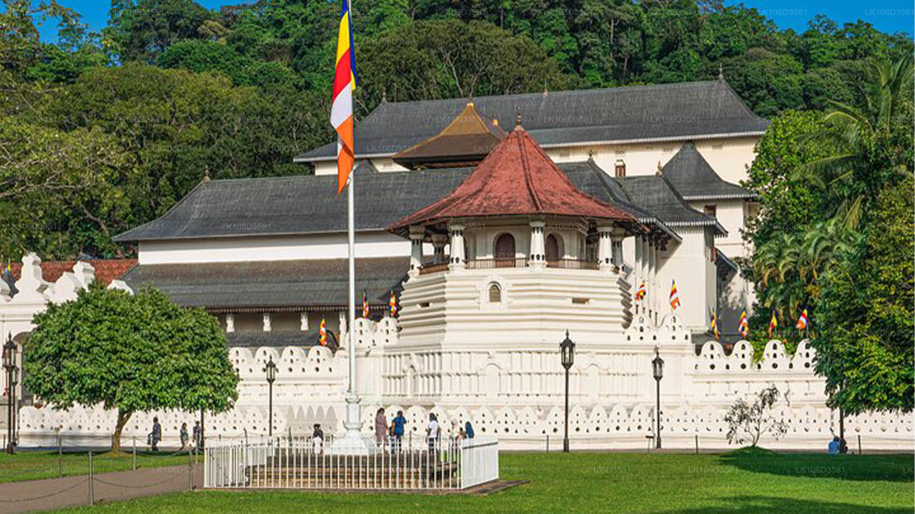 Photography Tour of Sri Lanka (6 Days)