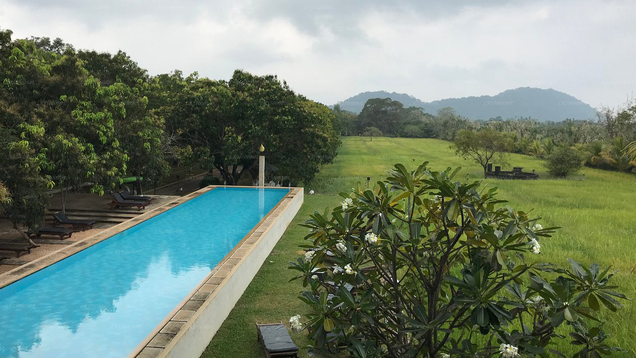 Sigiriana Resort by Thilanka, Dambulla