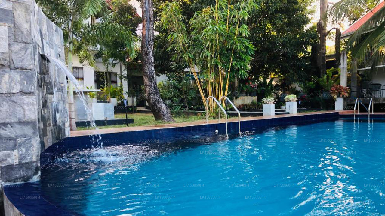 Hotel White Land City, Dambulla