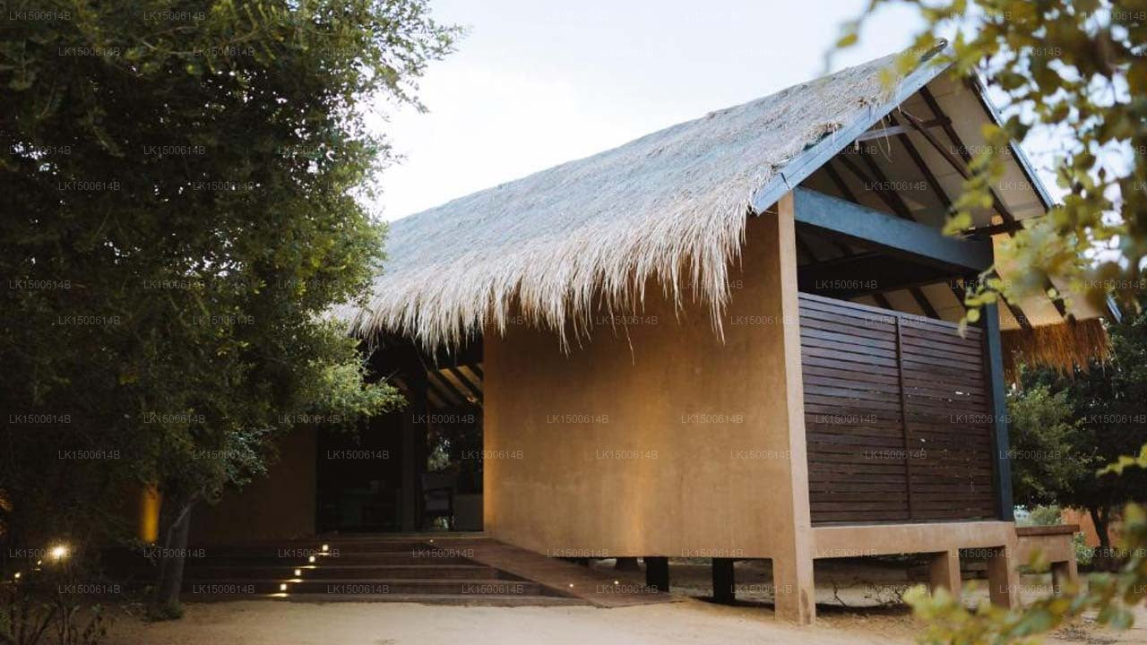 Jetwing Safari Camp, Yala