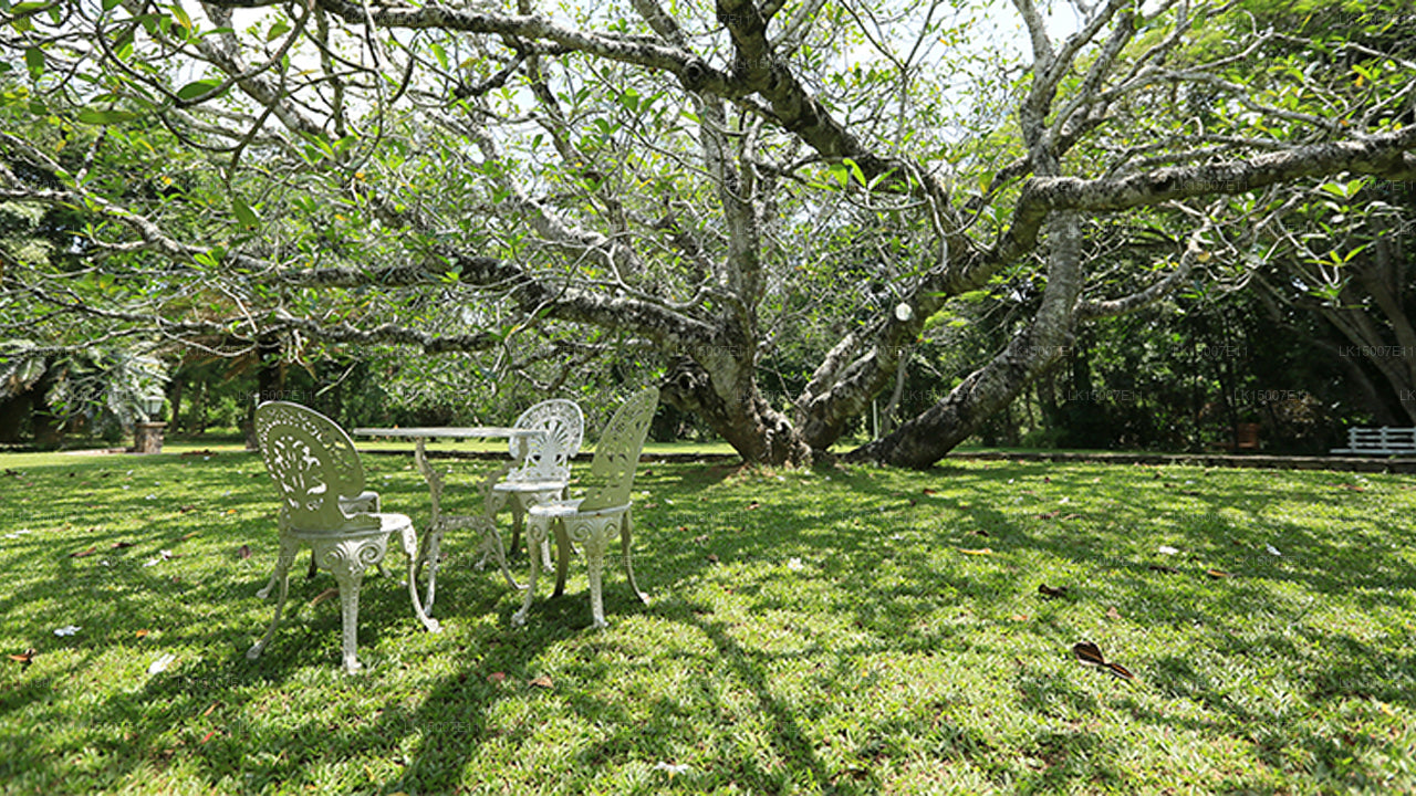 Finca Horathapola, Kurunegala