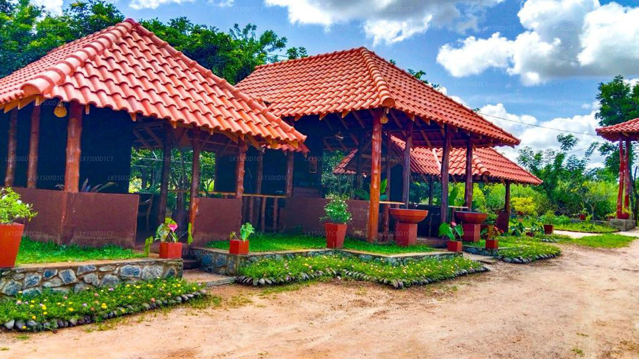 Ceylon Amigos Eco Resort, Sigiriya