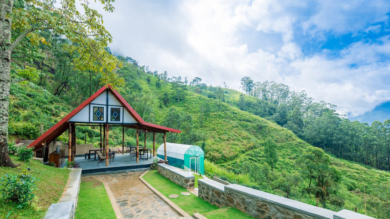 Villa flotante en la montaña, Nuwara Eliya