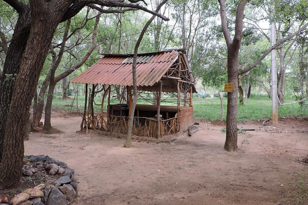 Complejo turístico Aranya, Yala