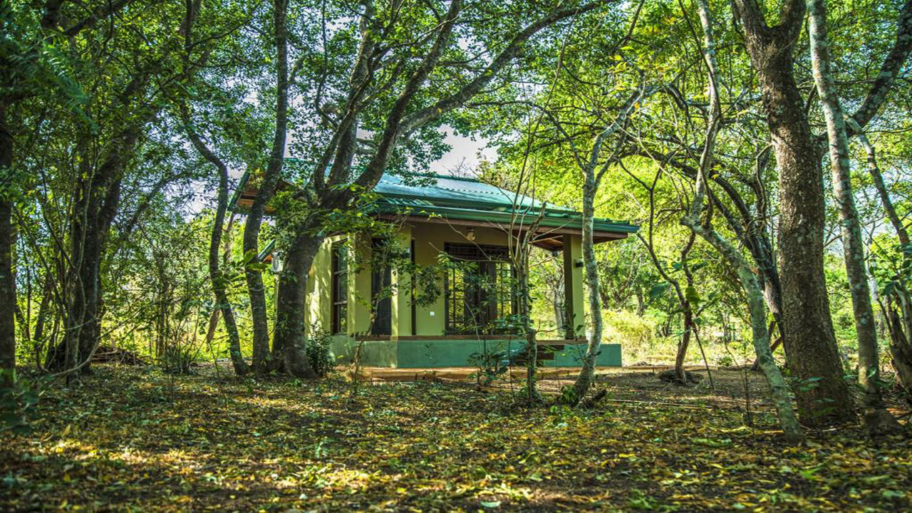 Safari en Wadula - Yala, Kataragama