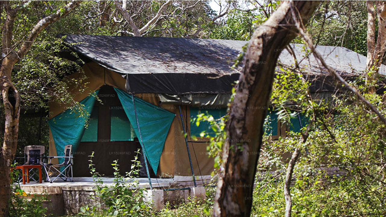 Campamento safari de Wilpattu, Wilpattu