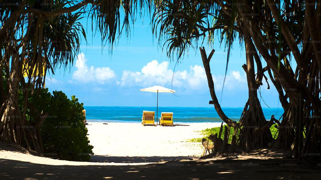 Palm Beach Inn & Sea Shells Cabanas, A2, Bentota