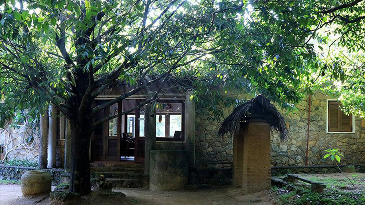 Arboreto de Popham, Dambulla