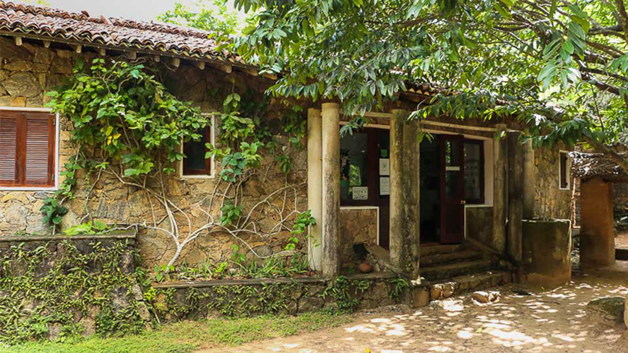 Arboreto de Popham, Dambulla