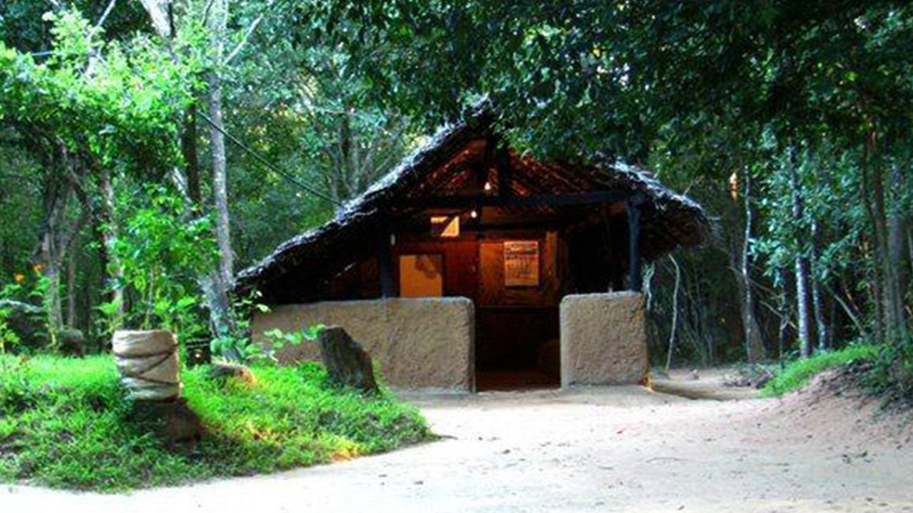 Arboreto de Popham, Dambulla