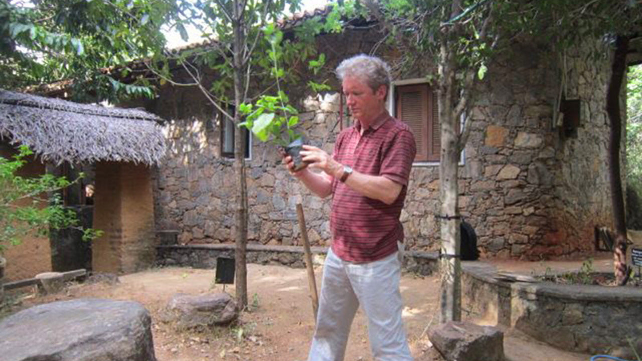 Arboreto de Popham, Dambulla