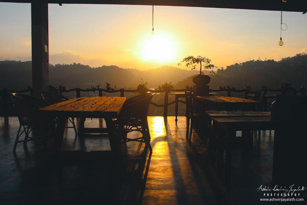 Clavija cuadrada, Kandy