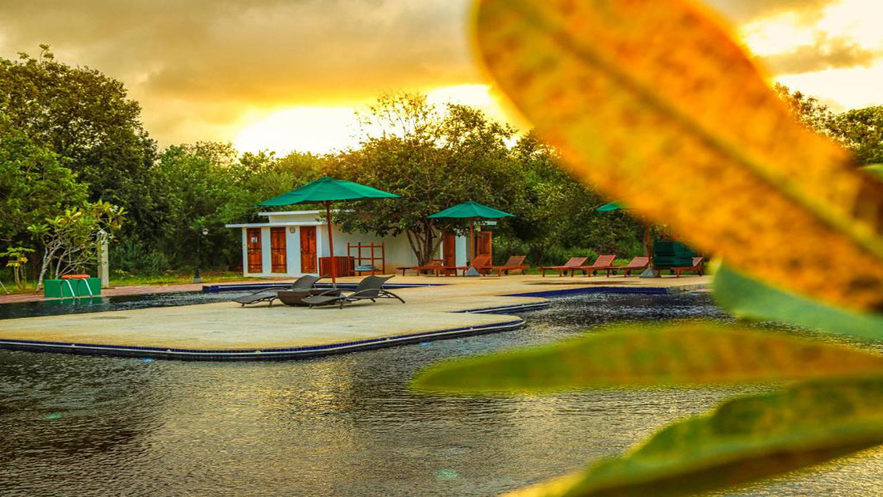 Lago de elefantes Oak Ray, Habarana