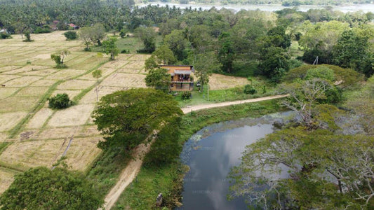 El loft junto al lago, Kurunegala