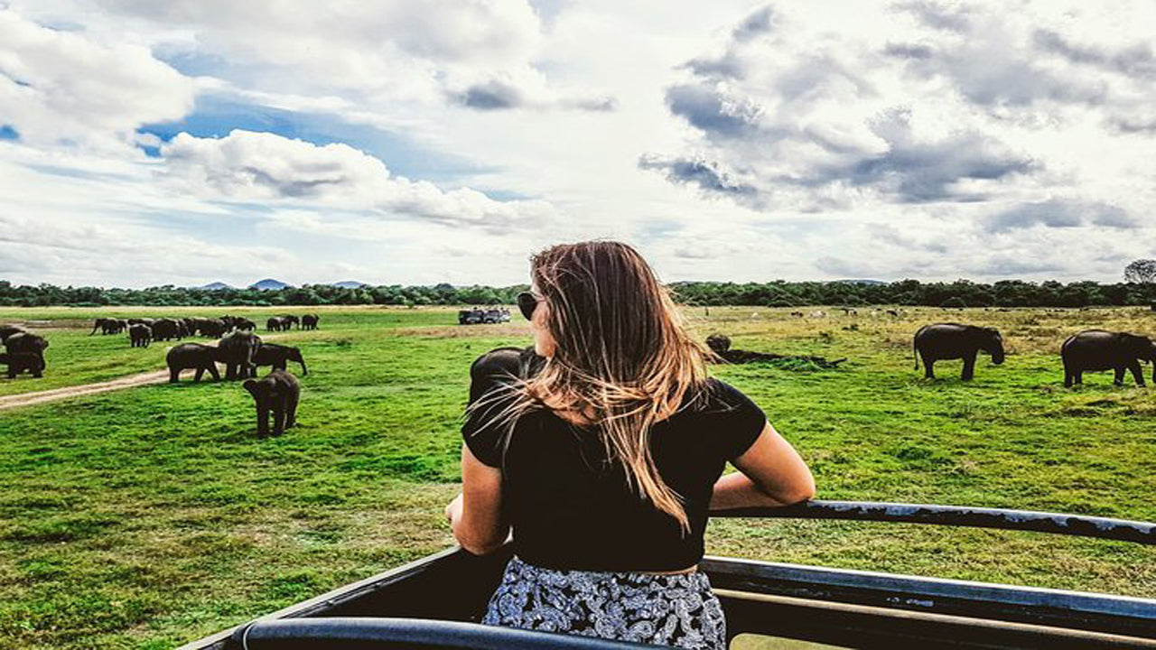 Safari privado al Parque Nacional Kaudulla desde Habarana, incluido un jeep con entradas (3 horas)