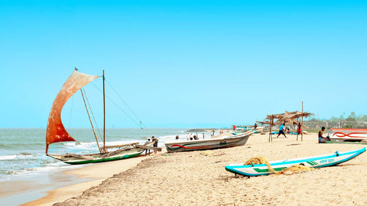 Excursión a la ciudad de Negombo desde Colombo