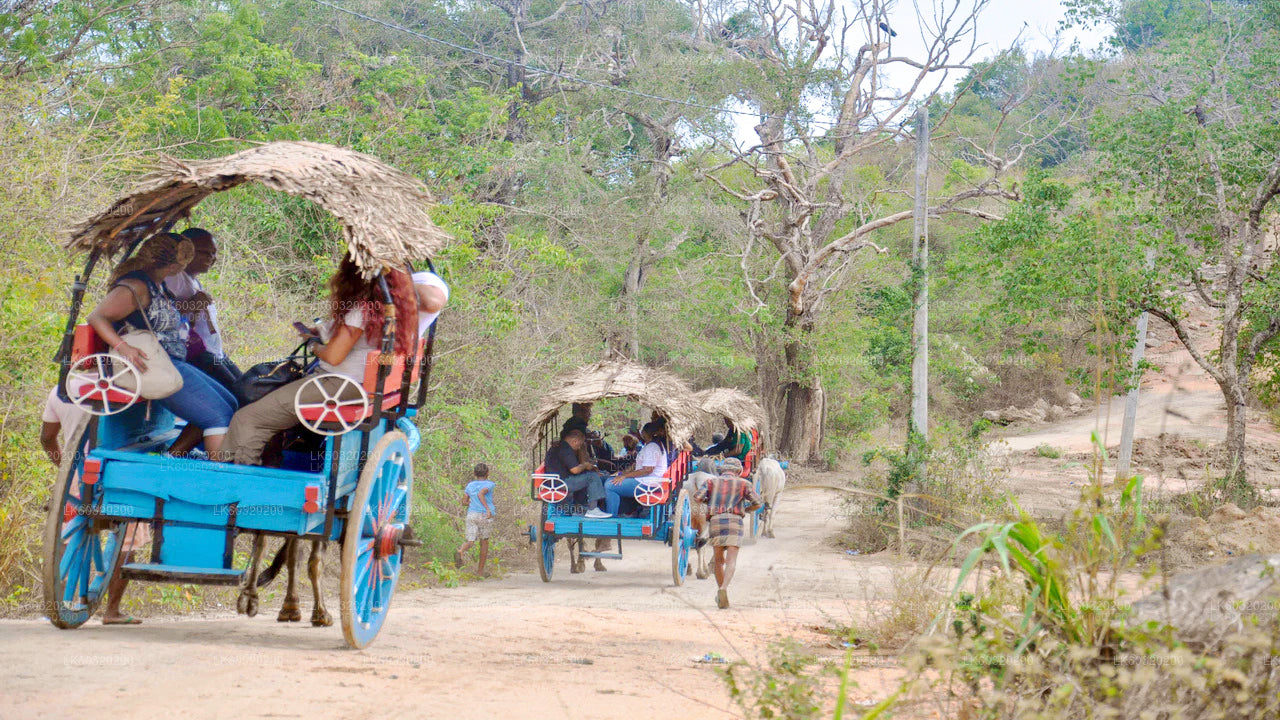 Visita al pueblo de Sigiriya y almuerzo