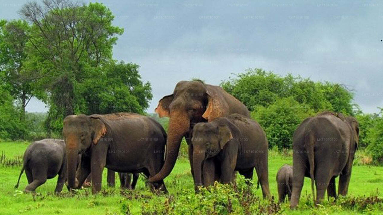 Entradas al parque ecológico Hurulu