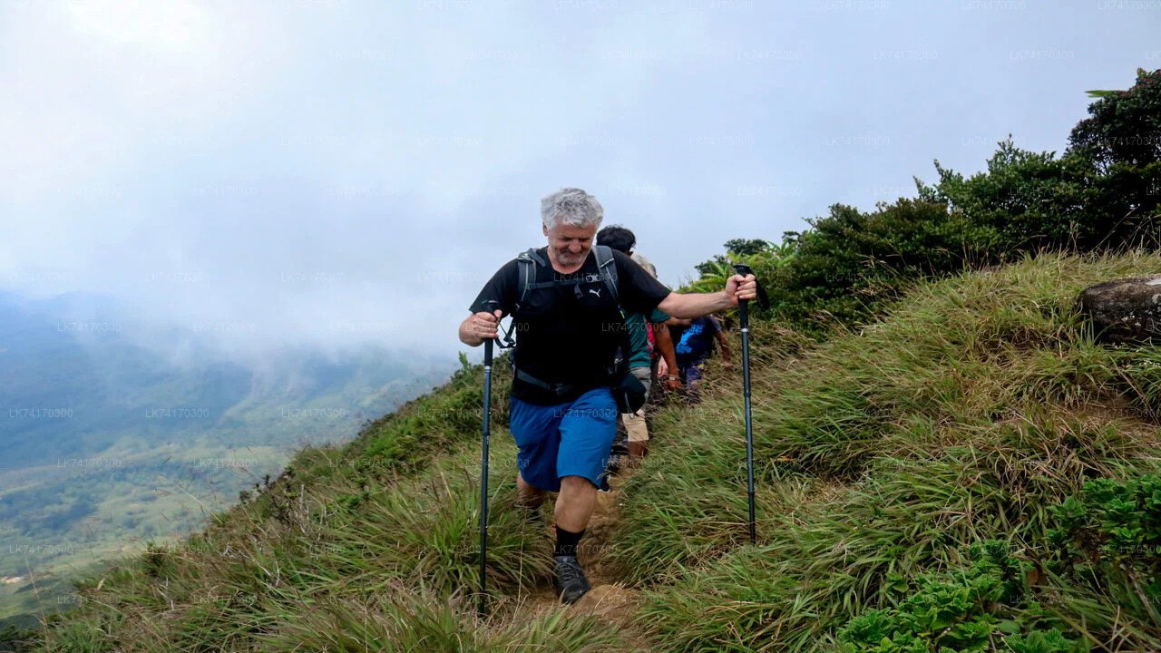 Excursión a la aldea de Heeloya desde Kandy