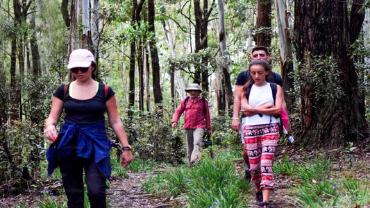 Excursión a la aldea de Heeloya desde Kandy