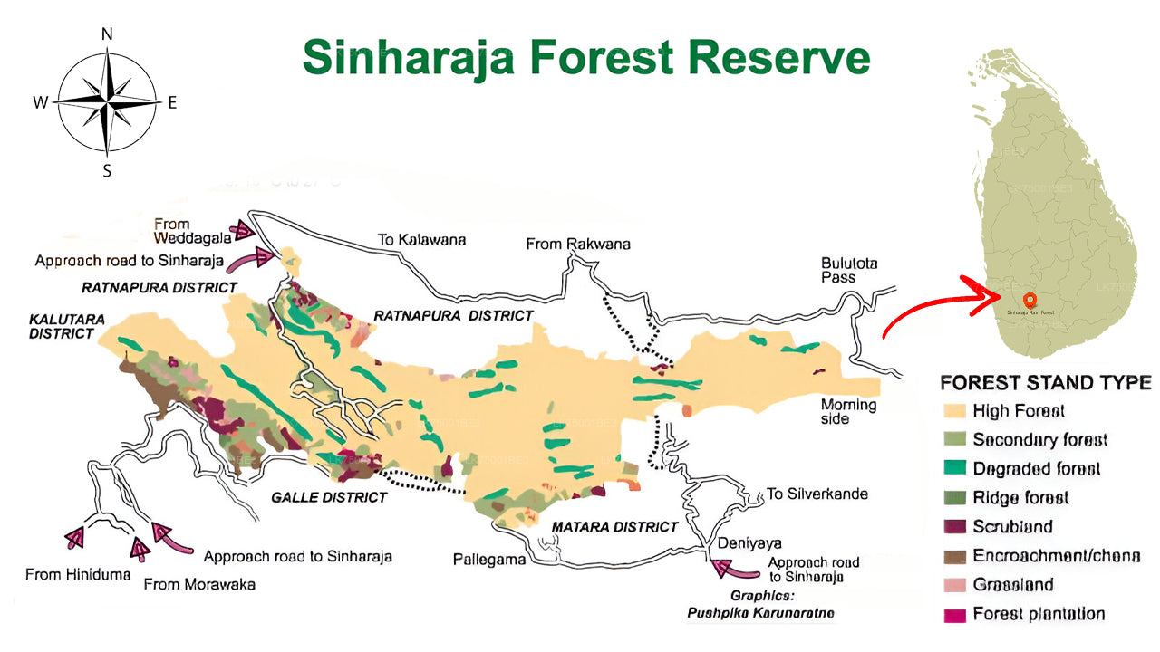 Observación de aves desde la selva tropical de Sinharaja