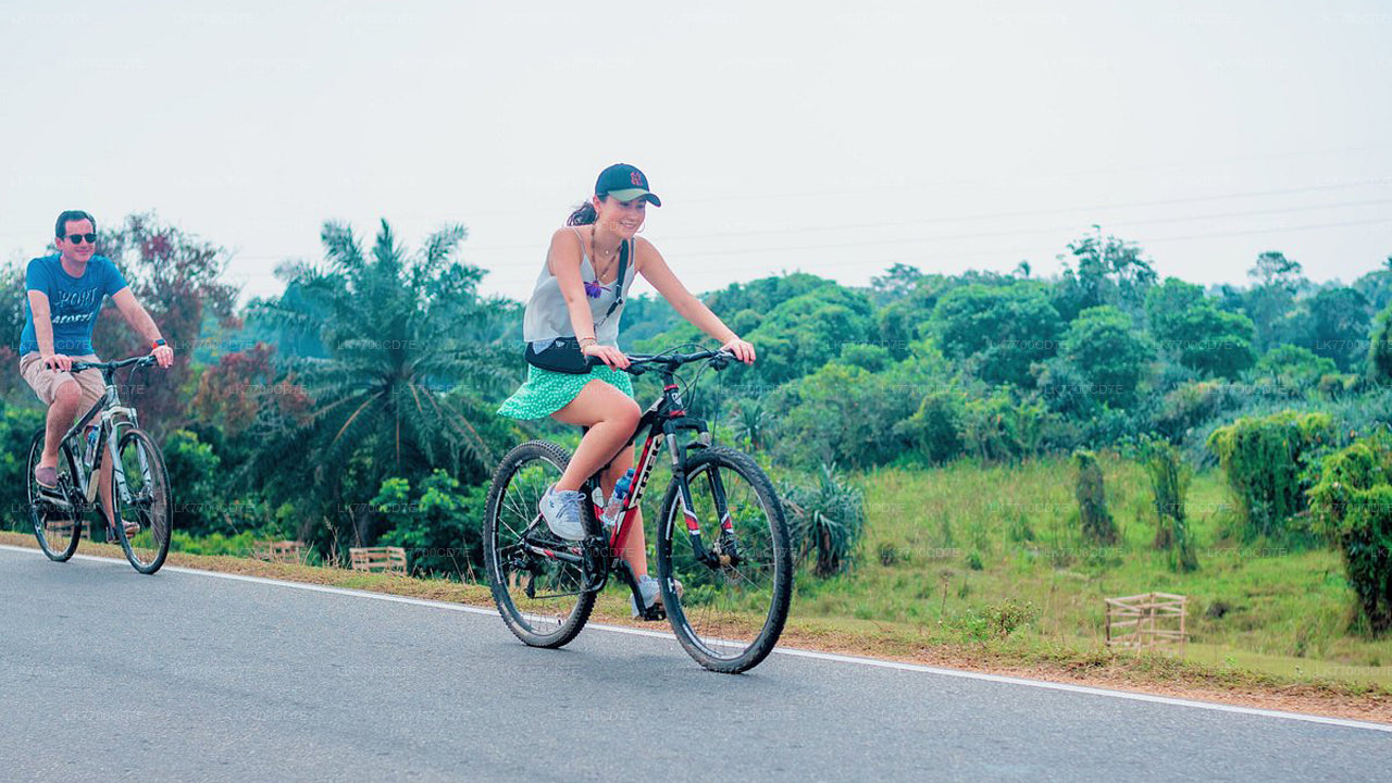 Divertido paseo en bicicleta en familia desde Galle