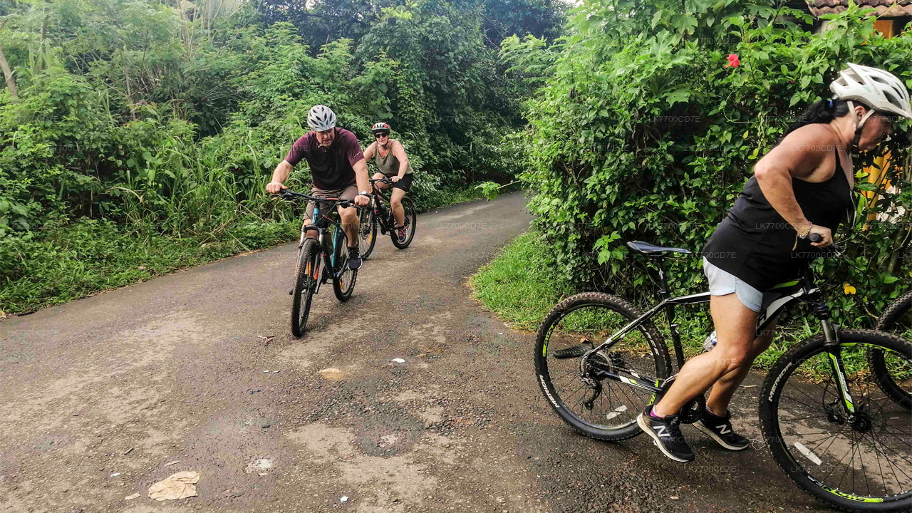 Divertido paseo en bicicleta en familia desde Galle