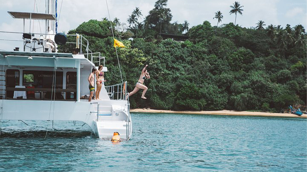 Vacaciones en velero desde Mirissa (3 días)