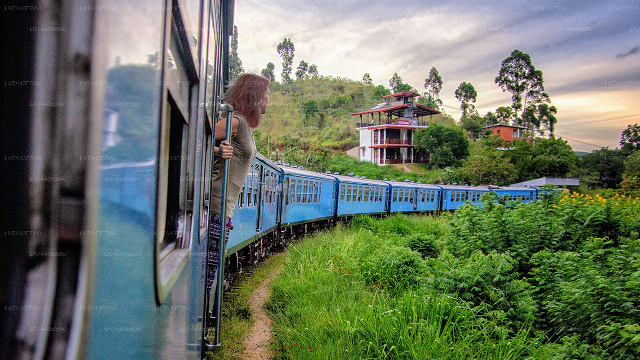 Reserva de billetes de tren de Kandy a Ella, Nanu Oya y Badulla