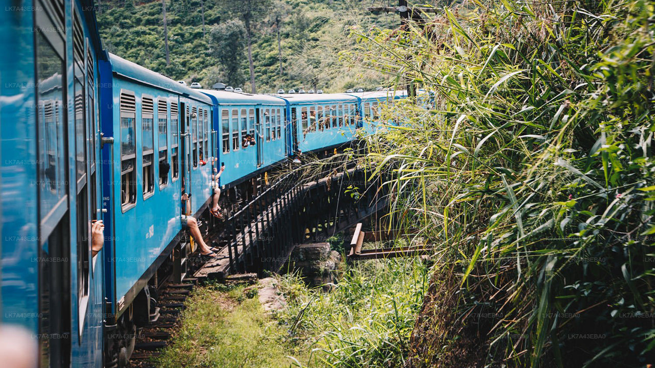 Reserva de billetes de tren de Kandy a Ella, Nanu Oya y Badulla