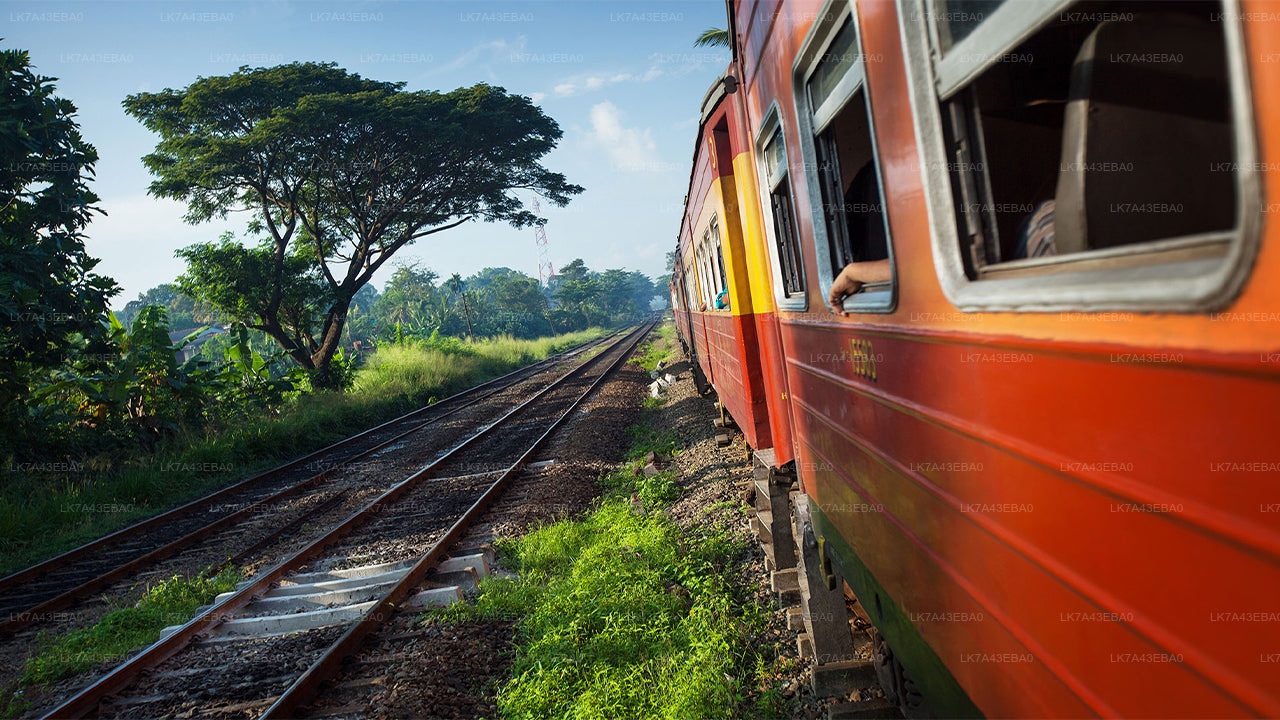 Reserva de billetes de tren de Kandy a Ella, Nanu Oya y Badulla