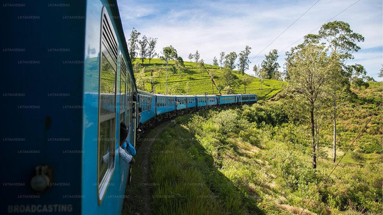 Reserva de billetes de tren de Kandy a Ella, Nanu Oya y Badulla