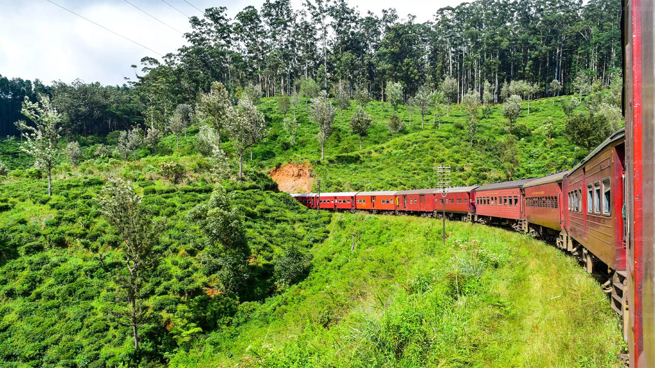 Reserva de billetes de tren de Kandy a Ella, Nanu Oya y Badulla