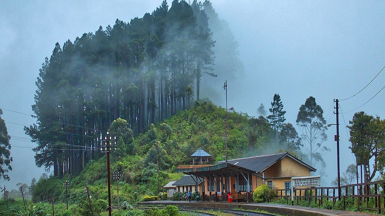 Viaje en tren de Nanu Oya a Ella (número de tren: 1041 «Ella Odyssey»)