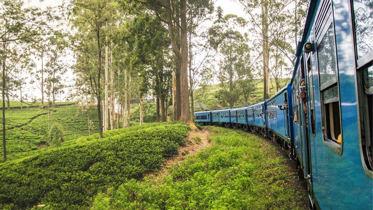 Viaje en tren de Nanu Oya a Ella (número de tren: 1041 «Ella Odyssey»)