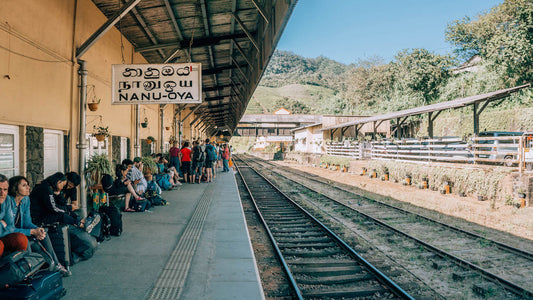 Viaje en tren de Nanu Oya a Ella (número de tren: 1041 «Ella Odyssey»)