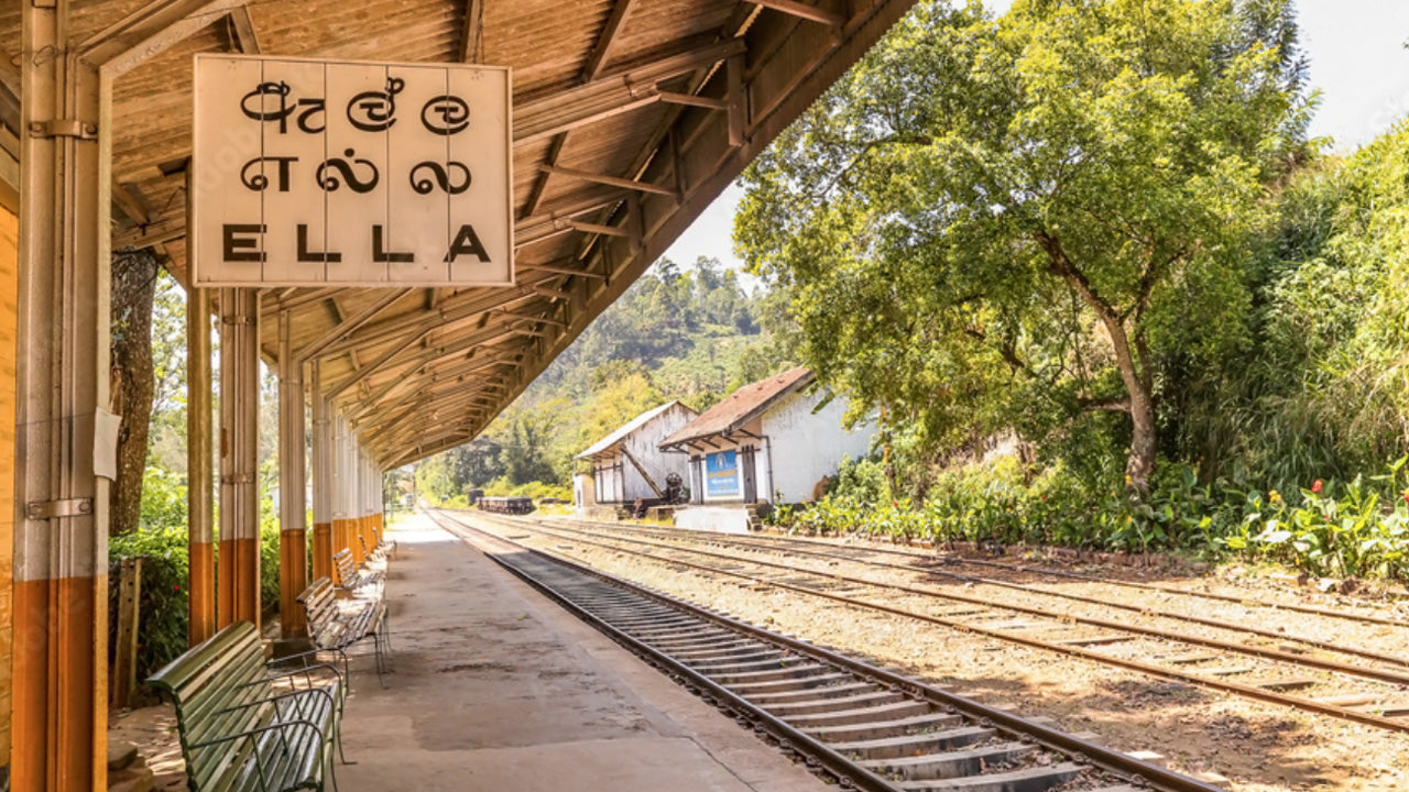 Viaje en tren de Nanu Oya a Ella (número de tren: 1041 «Ella Odyssey»)