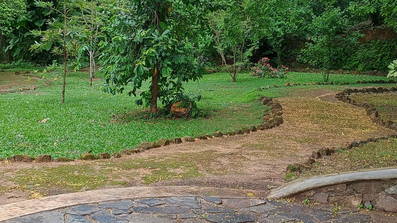 Descubra la biodiversidad en Midigama Fruit Farm