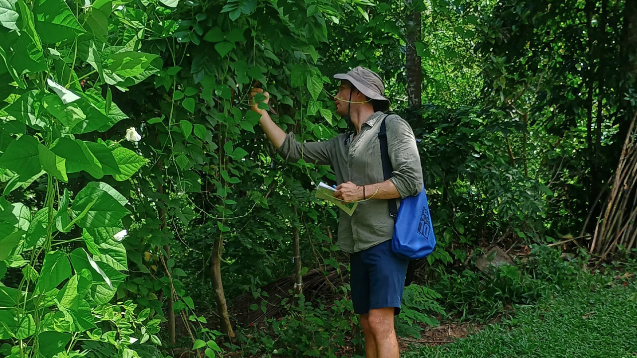 Descubra la biodiversidad en Midigama Fruit Farm