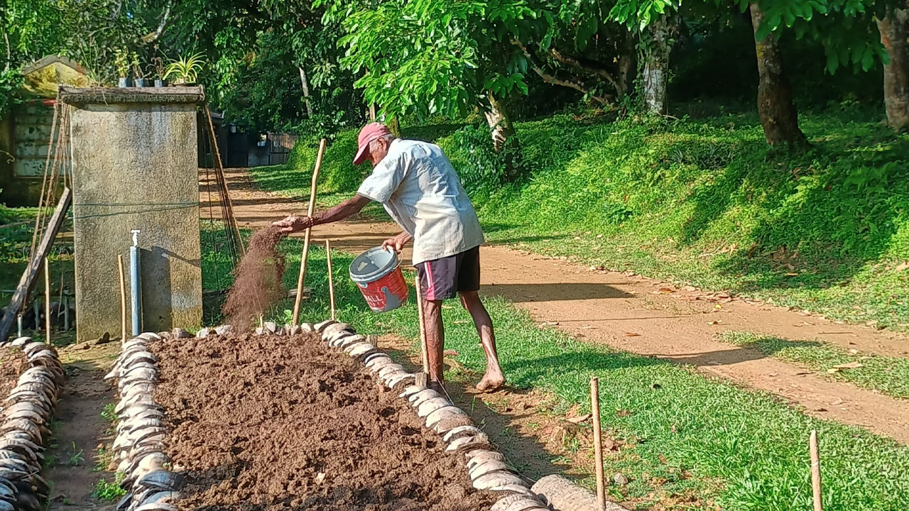 Descubra la biodiversidad en Midigama Fruit Farm