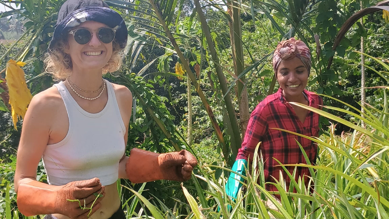 Descubra la biodiversidad en Midigama Fruit Farm