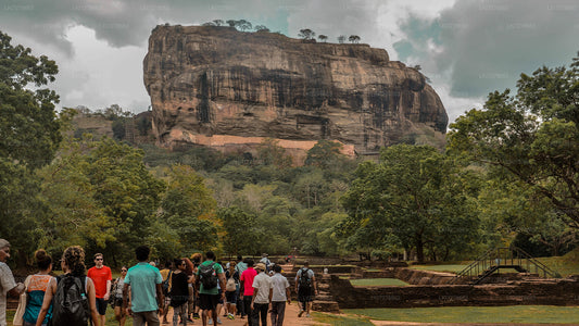 Sigiriya Rock, Dambulla and Wild Elephant Safari from Colombo