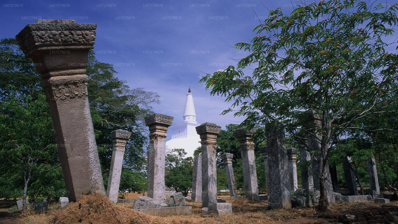 Anuradhapura and Mihintale from Dambulla