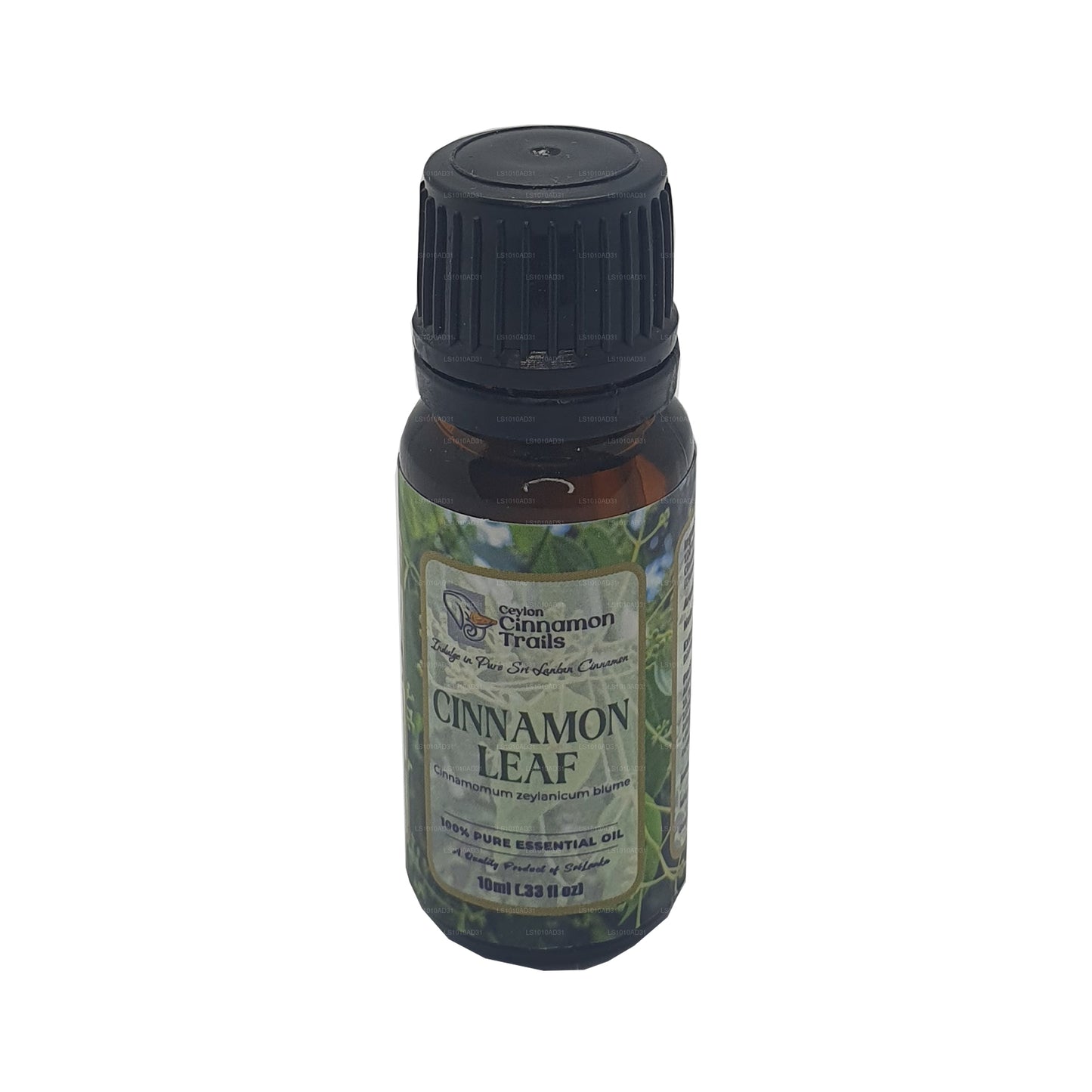 Aceite esencial de hoja de canela Ceylon Cinnamon Trails (10 ml)