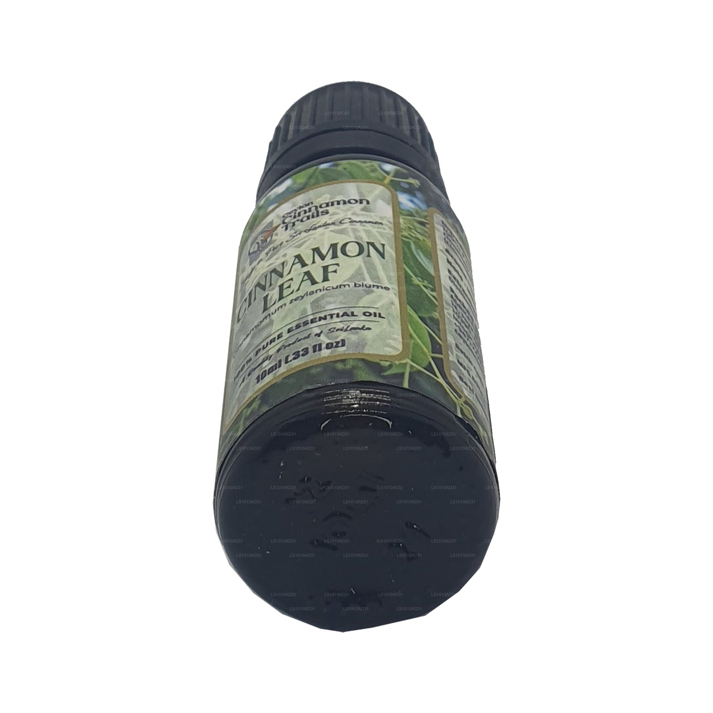 Aceite esencial de hoja de canela Ceylon Cinnamon Trails (10 ml)