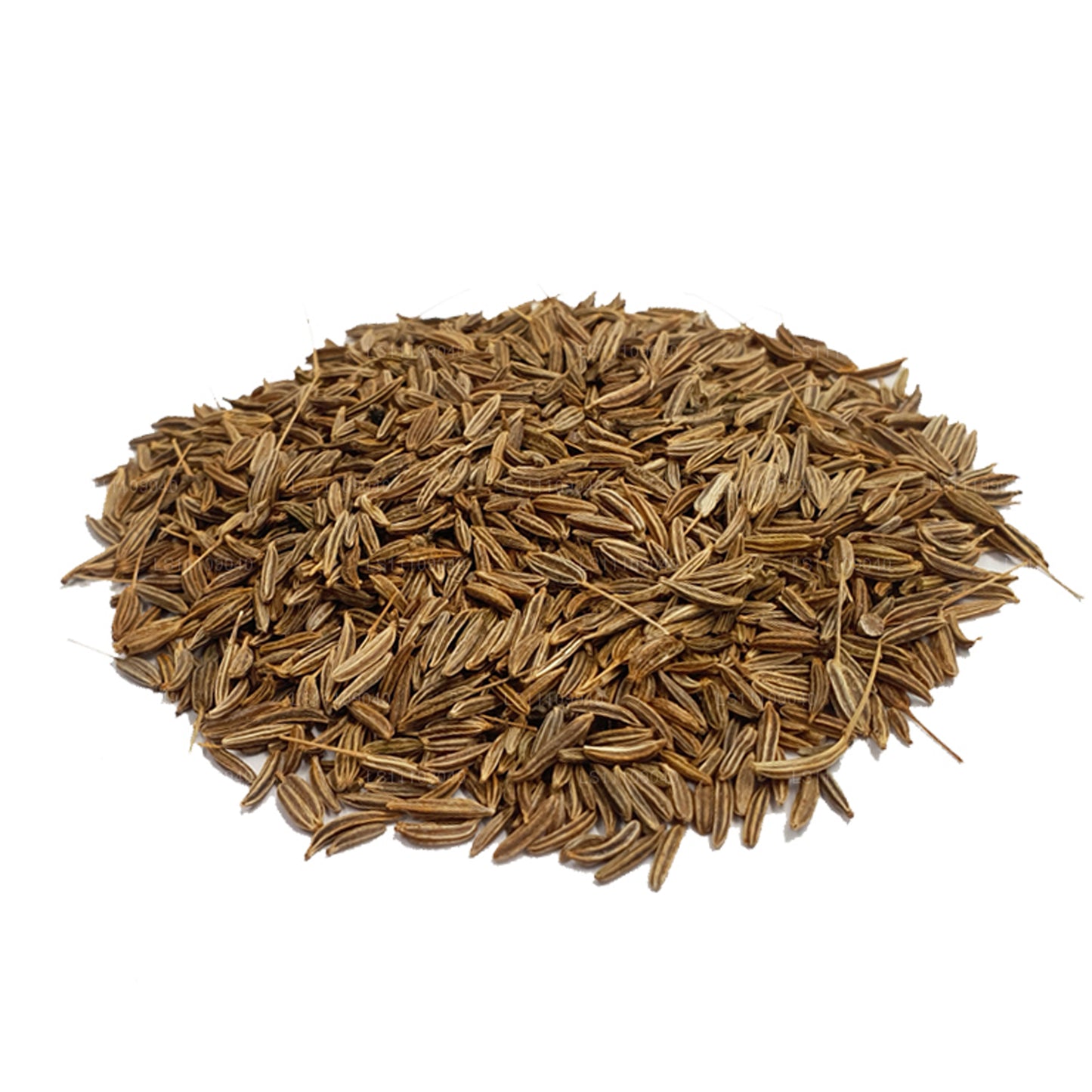 Lakpura Fennel Seeds Whole