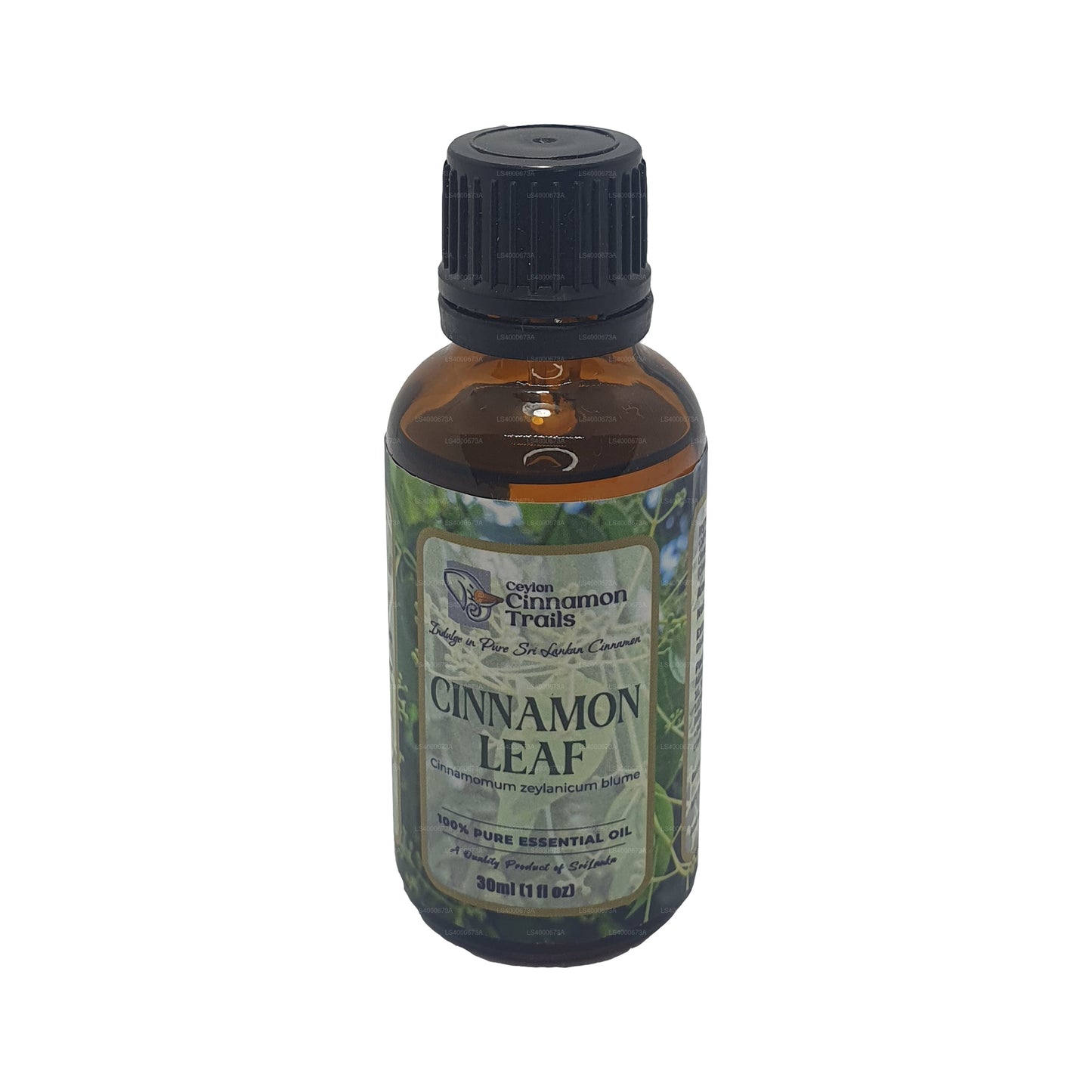 Aceite esencial de hoja de canela Ceylon Cinnamon Trails (10 ml)