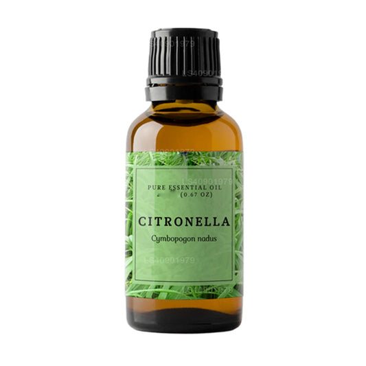 Aceite esencial de citronela Lakpura (15 ml)