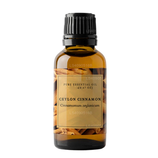 Aceite esencial de canela Lakpura de Ceilán (15 ml)